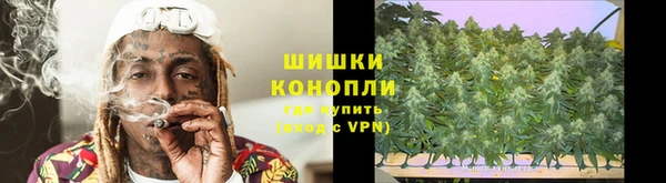 прущие грибы Баксан
