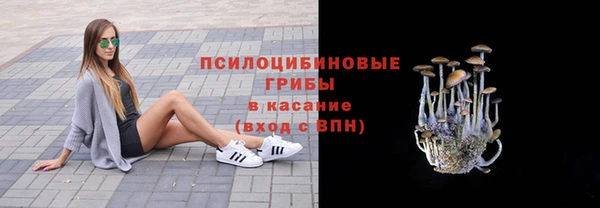 спайс Армянск
