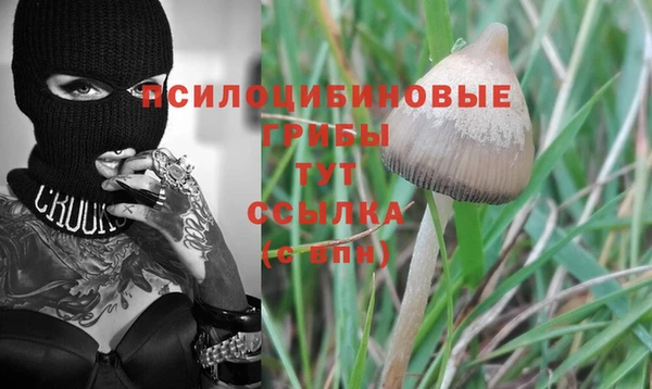 спайс Армянск