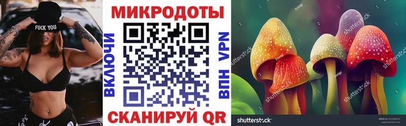 Псилоцибиновые грибы Psilocybe  Мосальск 
